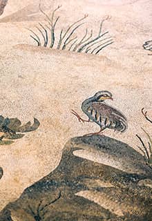 Haleplibahçe- Mosaikmuseum