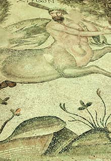 Haleplibahçe- Mosaikmuseum