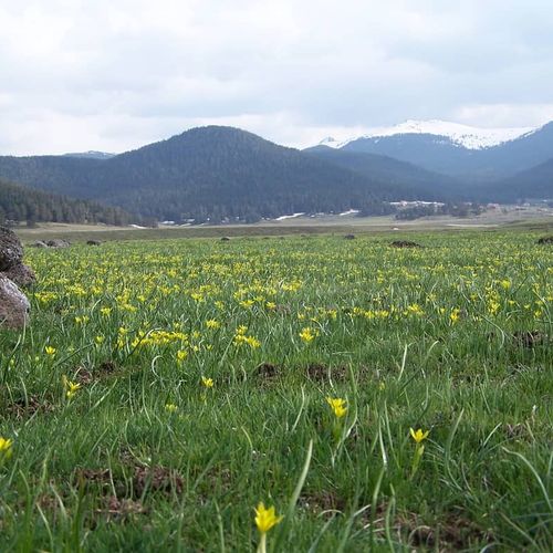 Sarıalan Plateau