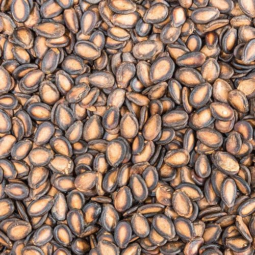 دانه های هندوانه بو داده