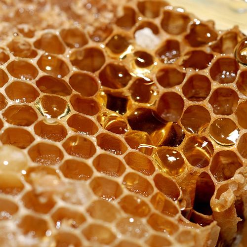 Pervari Honey