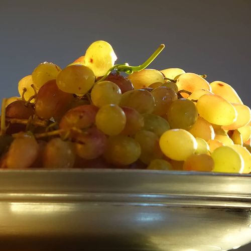 Tayfi Grapes