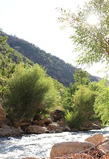 Valle Botan