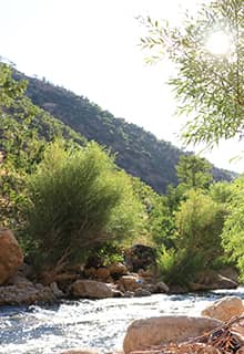 Botan Vadisi