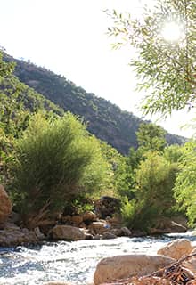 Botan Vadisi