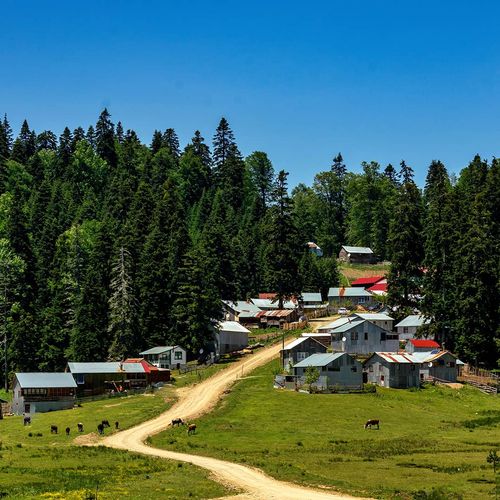 Sinekli Plateau