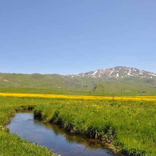 Плато Фарашін
