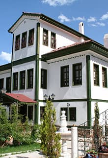 Зелений будинок