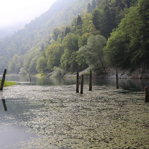 Lake Sülüklü