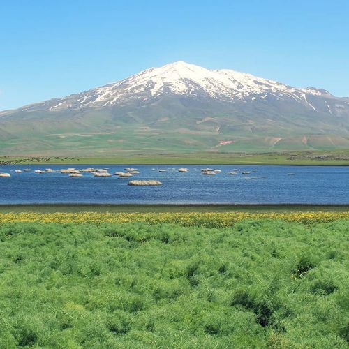 Süphan Mountain