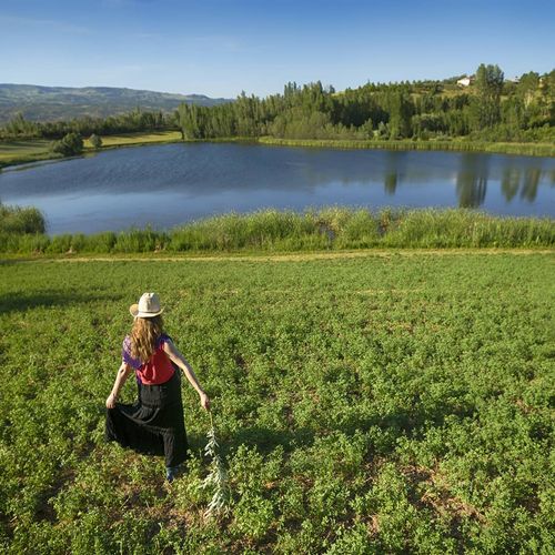 Tarbasan Lake