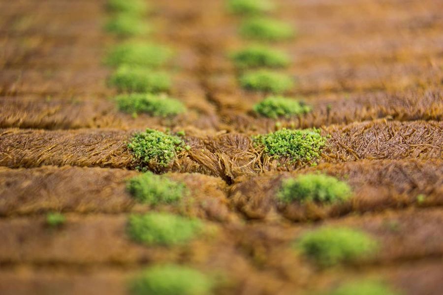 Blog Image - 10 Turkish Desserts You Need to Try