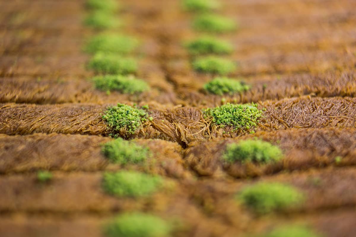 Blog Image - 10 Turkish Desserts You Need to Try