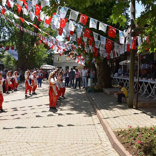 مهرجان الكرز تحية الرقص