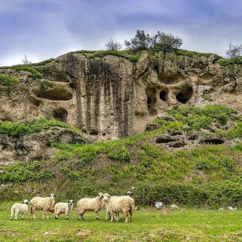 Tekkeköy Archaeological Valley