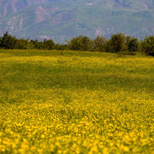 Плато Топчам
