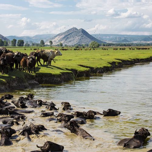 Kaz Lake Wildlife Development Area