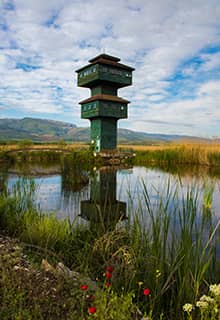 Заповідник дикої природи на озері Каз (Kaz Gölü)