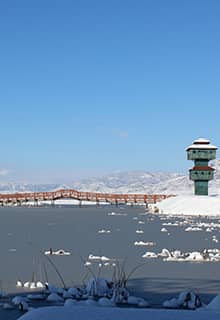 Заповідник дикої природи на озері Каз (Kaz Gölü)