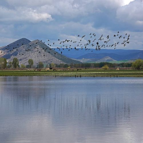 Kaz Lake