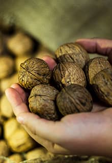 Niksar Walnut