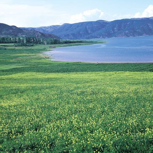 El lago de la presa de Almus