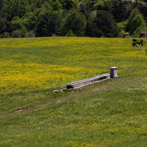 La meseta de Topçam