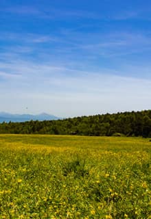 Topçam Plateau