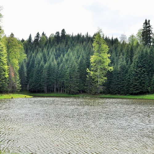Torkul Plateau and Pond