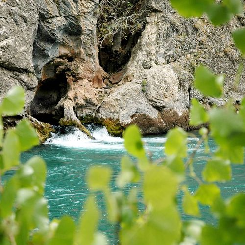 Halbori Springs