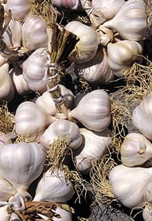 Dağ Sarımsağı (Berg-Knoblauch)