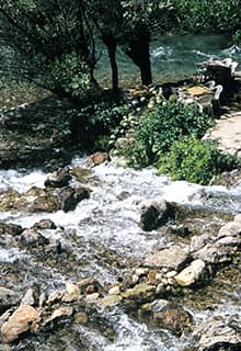Ovacık Gözeleri