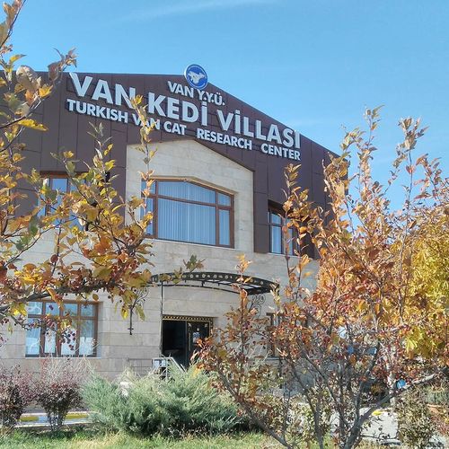 The Van Cat Villa