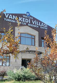 Van Kedi Villası