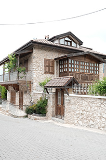 Gallery item 6