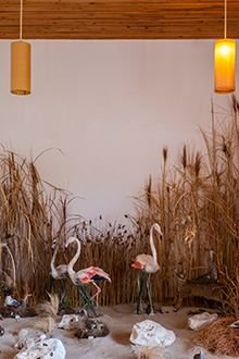 Gallery item 6