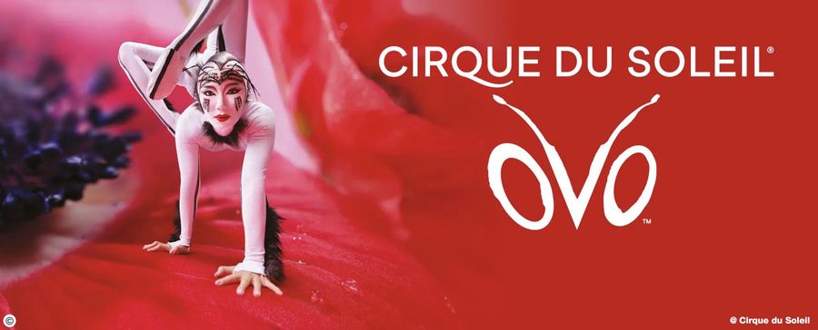 OVO - Cirque du Soleil 