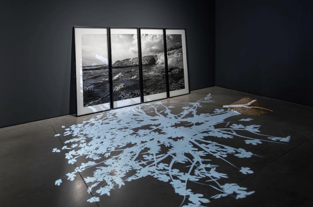 İstanbul Modern Semiha Berksoy: Tüm Renklerin Aryası Sergisi