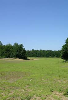 Плато Карлык