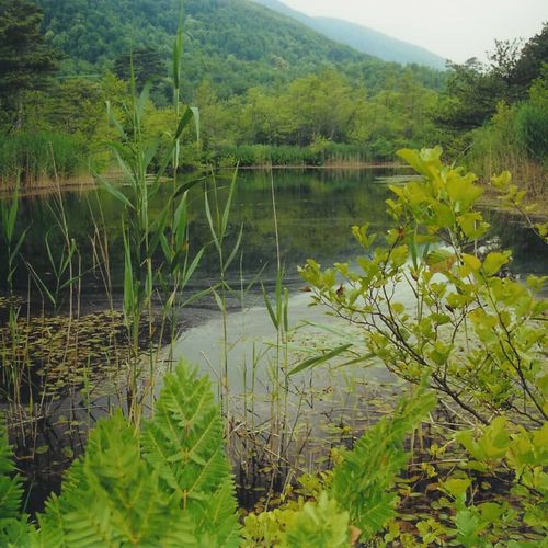Delmece Plateau
