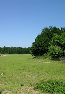 Karlık Yaylası