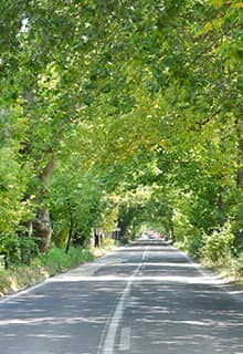 Çınarlı Straße