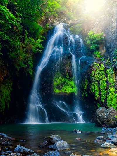 يالوفا (Yalova)