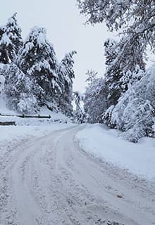 Parc National de Çamlık