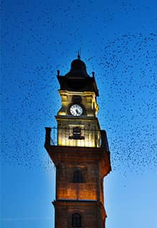 Tour de l’Horloge