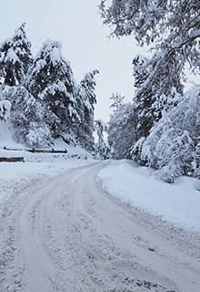 Parc National de Çamlık