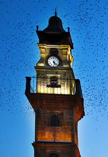 Tour de l’Horloge de Yozgat