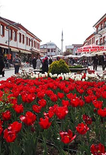 Mehl-Markt