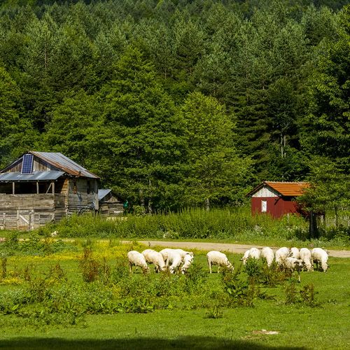 Bölüklü Plateau